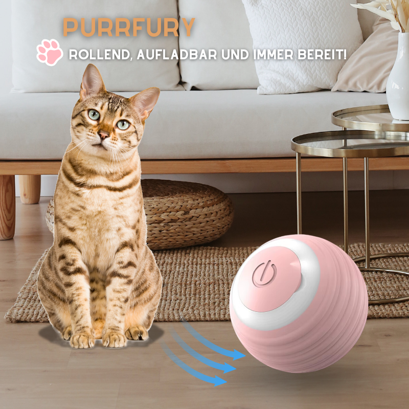 PurrFury