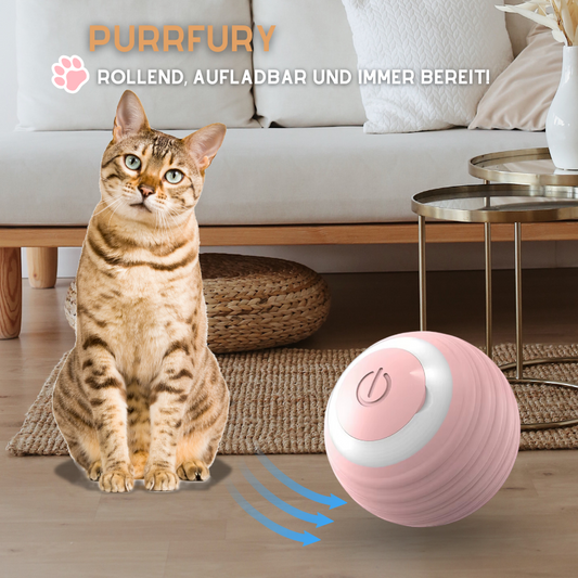PurrFury